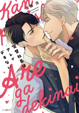 完璧社長はアレがデキない【電子限定かきおろし付】 [リブレ]