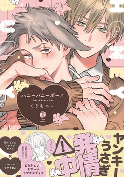 ハニーバニーボーイ【電子限定漫画付き】 [ブライト出版]