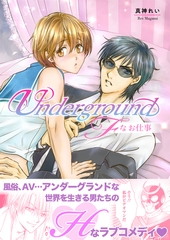UnderGround～Fなお仕事～ [Ai digital publishing]