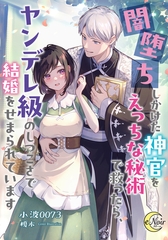 闇堕ちしかけた神官をえっちな秘術で救ったら、ヤンデレ級のしつこさで結婚をせまられています [フランス書院]