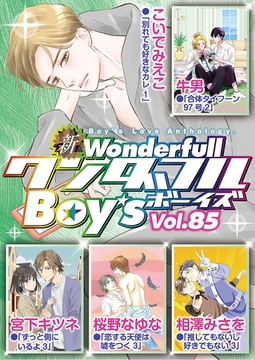新ワンダフルBoy's  Vol.85 [光彩書房]
