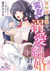 堅物騎士様の完璧な溺愛結婚計画３ [プランタン出版]
