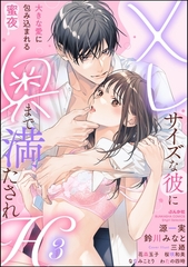 XLサイズな彼に奥まで満たされH 大きな愛に包み込まれる蜜夜　（3） [ぶんか社]