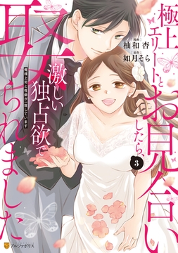 極上エリートとお見合いしたら、激しい独占欲で娶られました　俺様上司と性癖が一致しています３ [アルファポリス]