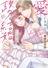 愛しいきみと、政略結婚～いじっぱり夫婦、初夜から子づくり始めます【単行本版】3【特典ペーパー付き】 [スクリーモ]
