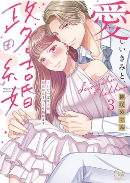 愛しいきみと、政略結婚～いじっぱり夫婦、初夜から子づくり始めます【単行本版】3【特典ペーパー付き】 [スクリーモ]