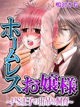 ホームレスお嬢様〜ドＳ王子の宙吊り飼育〜 [モバイルメディアリサーチ]