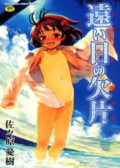 遠い日の欠片