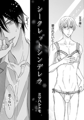 シークレットシンデレラ [ナンバーナイン]