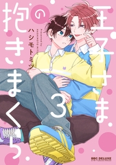 王子さまの抱きまくら 3【電子限定かきおろし付】 [リブレ]