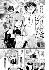 メイドの心のほどきかた-after-