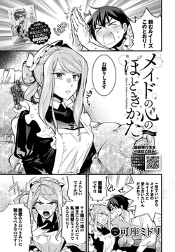 メイドの心のほどきかた-after- [文苑堂]