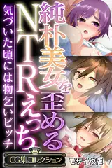 純朴美女を歪めるNTRえっち ～気づいた頃には物乞いビッチ～【CG集コレクション】 モザイク版