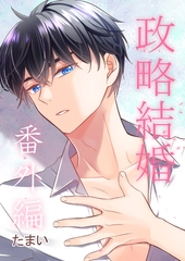 政略結婚　番外編 [ナンバーナイン]
