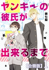 ヤンキーの彼氏が出来るまで【合冊版】1巻 [A-KAGURA]
