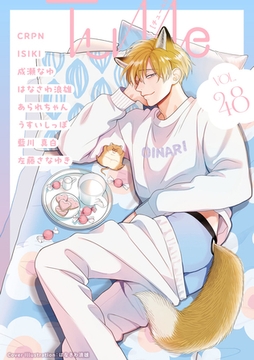 Tulle　vol.48 [ブライト出版]