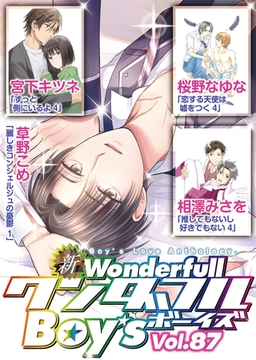 新ワンダフルBoy's  Vol.87 [光彩書房]