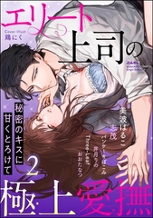 エリート上司の極上愛撫 秘密のキスに甘くとろけて　（2） [ぶんか社]