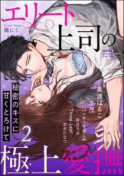 エリート上司の極上愛撫 秘密のキスに甘くとろけて　（2） [ぶんか社]
