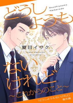 どうしようもないけれど～これからのこと～ [新書館]