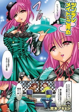 ツンデレメイドにご用心 [若生出版]