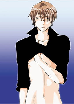 Birdcage [青林堂ビジュアル]