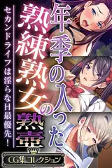 年季の入った熟練熟女の熟壺 ～セカンドライフは淫らなH最優先！～【CG集コレクション】