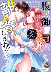 腹黒御曹司の蜜愛妻になりましたが、やっぱり全力で離婚します！！【分冊版】3 [乙女ドルチェ・コミックス]