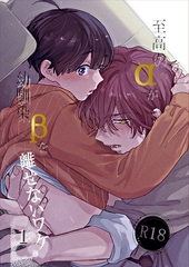 至高のαが幼馴染βを離せないワケ【R18版】 1 [ナンバーナイン]