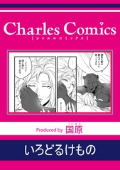 いろどるけもの [メディアソフト]