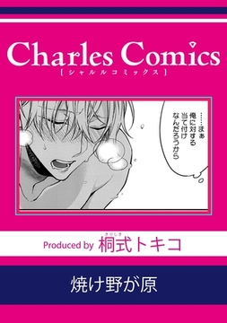 焼け野が原 [メディアソフト]