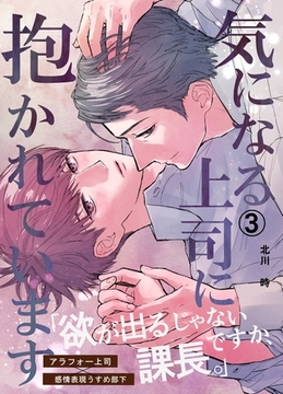 気になる上司に抱かれています(3) [ナンバーナイン]