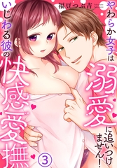 いじわる彼の快感愛撫～やわらか女子は溺愛に追いつけません！(3) [秋水社/MAHK]