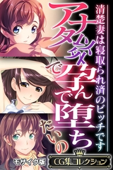 アナタ以外で孕んで堕ちたいの ～清楚妻は寝取られ済のビッチです～【CG集コレクション】 モザイク版 [どろっぷす！]