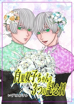 白髪双子ちゃんと３つの記念日 1回目の記念日 [ナンバーナイン]