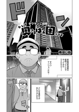 セレブ奥様はお困りです [コアマガジン]