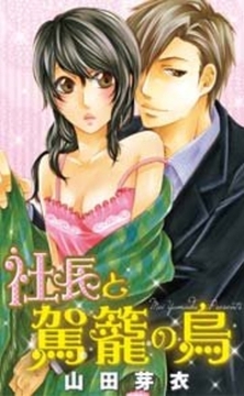 社長と駕籠の鳥 [宙出版]