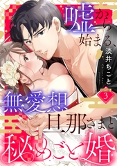 嘘から始まる、無愛想旦那さまと秘めごと婚 marriage.3《カノンミア》 [英和出版社]