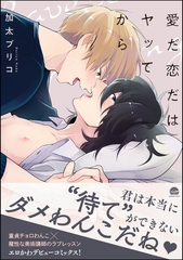 愛だ恋だはヤッてから【電子限定かきおろし漫画付】 [海王社]
