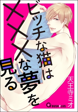 ビッチな猫は×××な夢を見る [海王社]