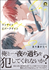 ワンナイト エバーアゲイン【電子限定かきおろし漫画付】 [海王社]