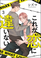 これが恋に違いない（分冊版）　【第3話】 [海王社]
