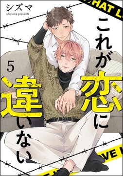 これが恋に違いない（分冊版）　【第5話】 [海王社]