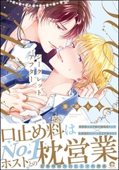 シークレットアフター【電子限定かきおろし漫画2P付】 [海王社]