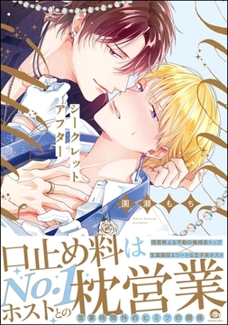 シークレットアフター【電子限定かきおろし漫画2P付】 [海王社]