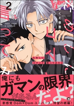 ためしにコマンド言ってみた【電子限定かきおろし漫画付】　（2） [海王社]