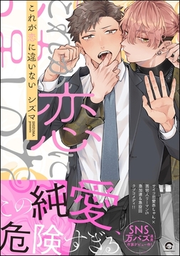 これが恋に違いない【電子限定かきおろし漫画3P付】 [海王社]