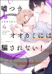 嘘つきオオカミには騙されない！（分冊版）　【第4話】 [海王社]