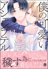 僕の可愛いアシェンプテル【電子限定かきおろし漫画付】 [海王社]