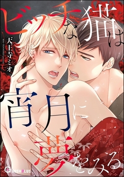 ビッチな猫は宵月に夢をみる [海王社]